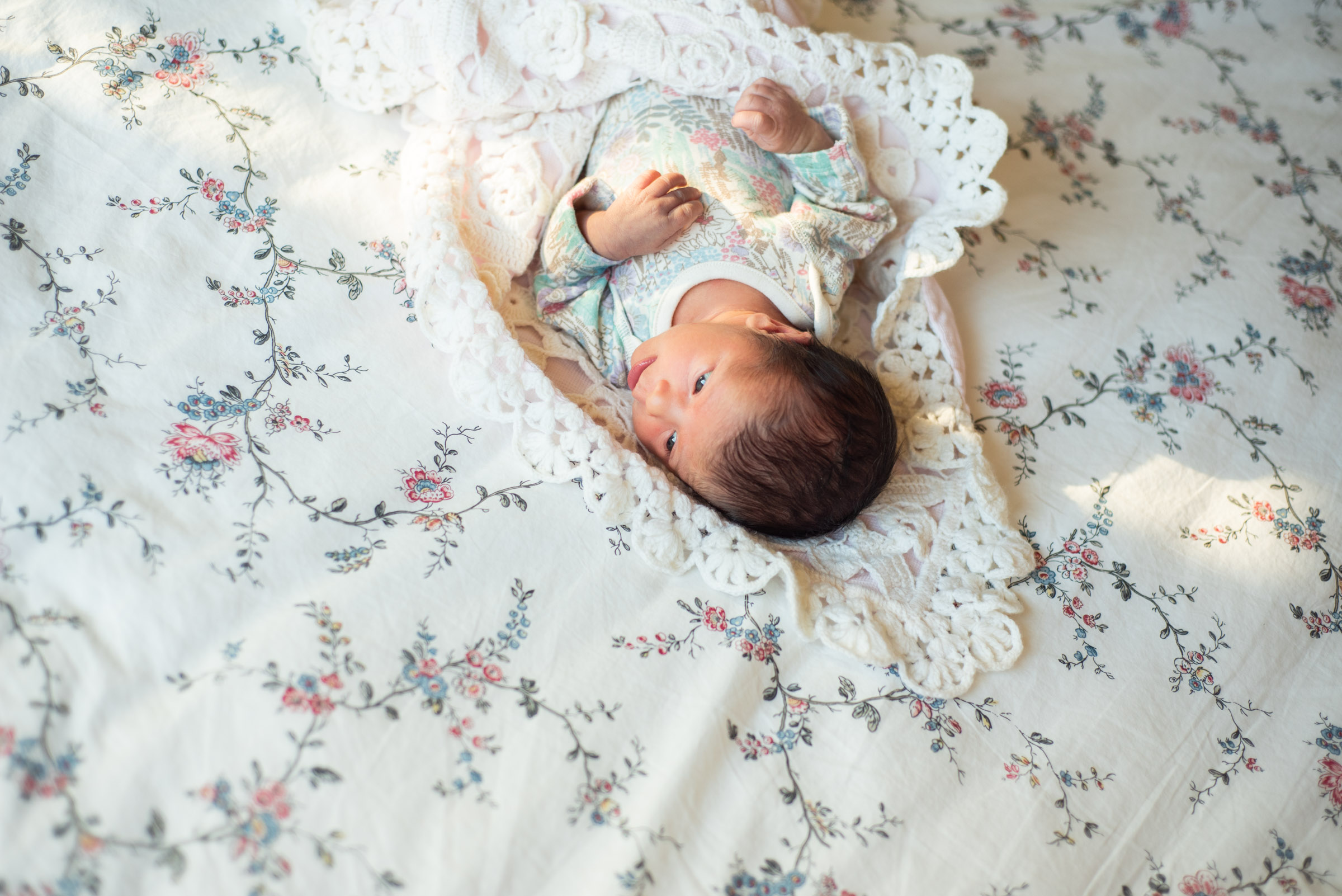 newborn fotograaf Driebergen