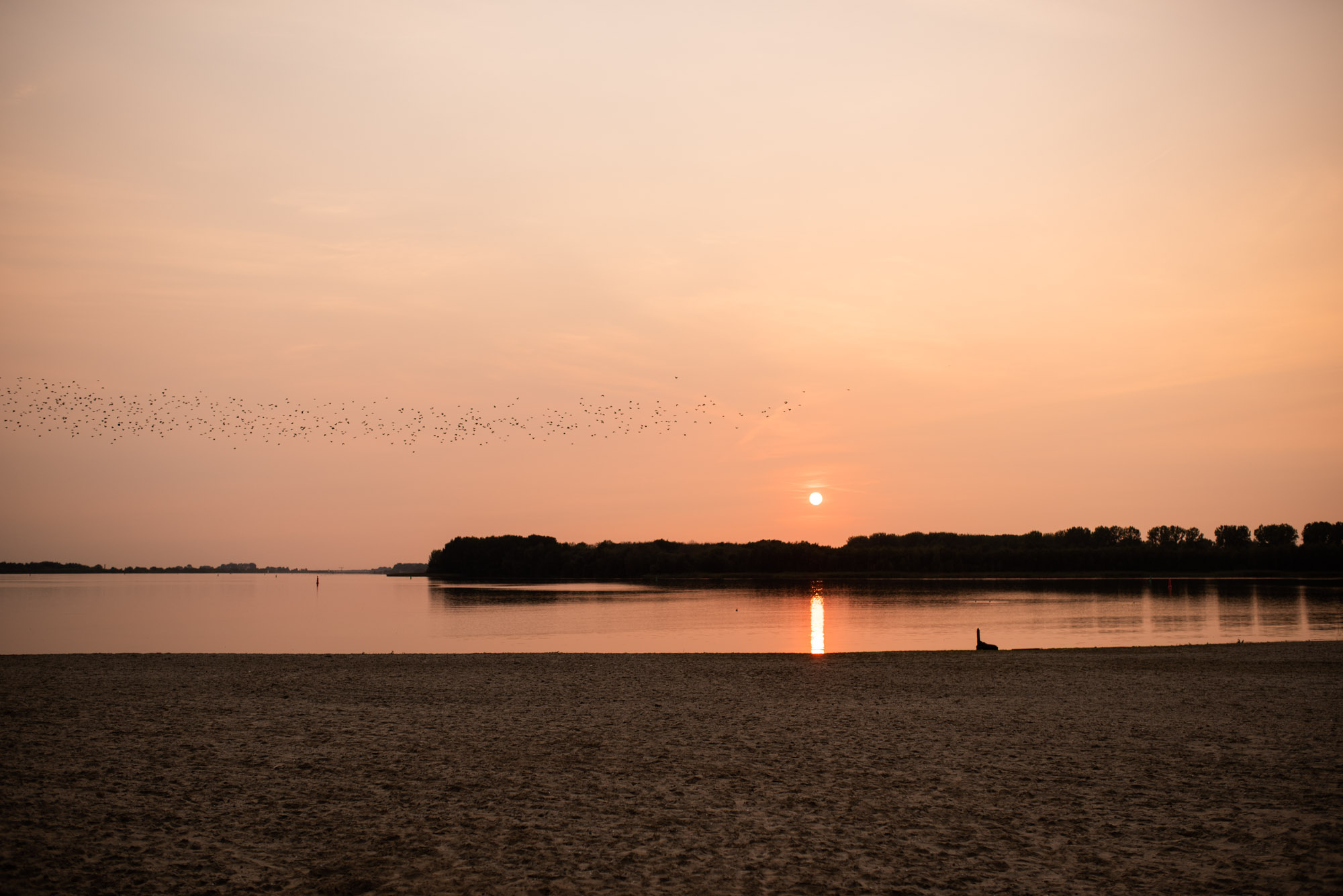 strand