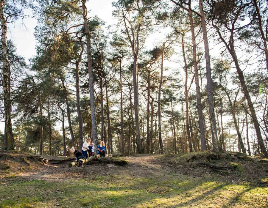 familiefoto in het bos