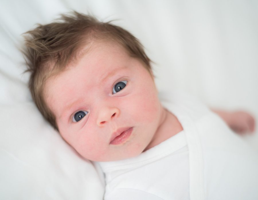 newborn portret